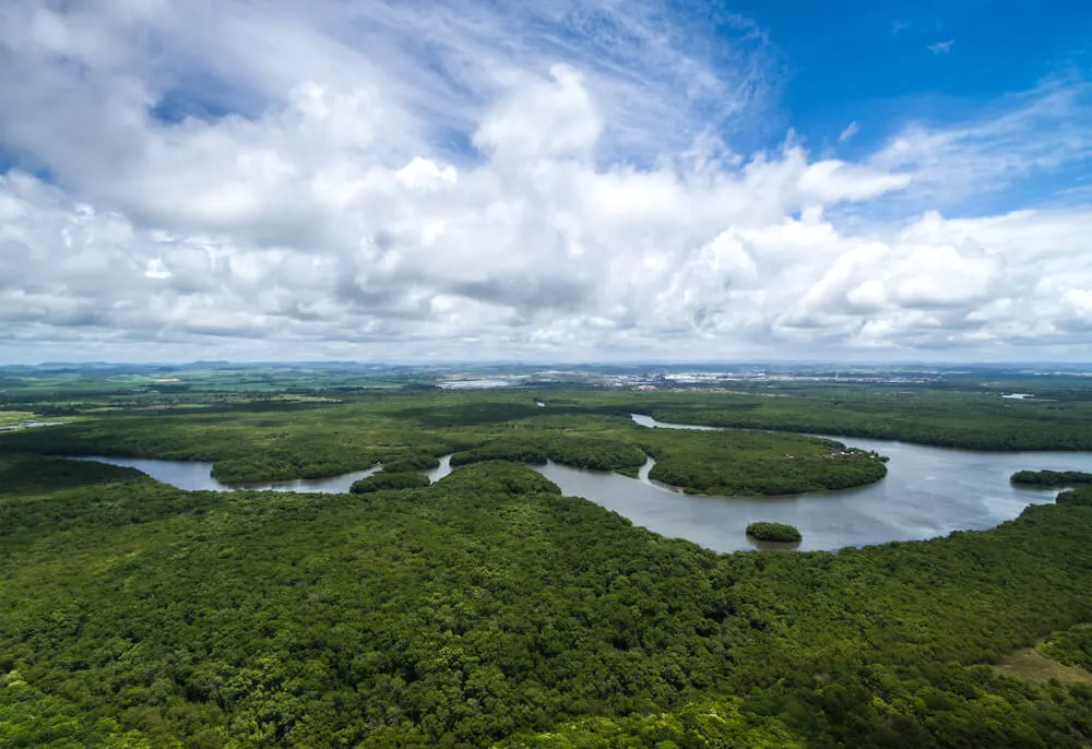 Imagem de capa do artigo DIA DA AMAZÔNIA - INFOGRÁFICO PARA VOCÊ ENTENDER A IMPORTÂNCIA DESSE BIOMA