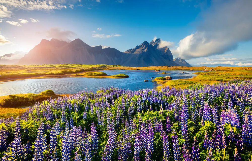 Imagem de capa do artigo 7 PAISAGENS APAIXONANTES NA ISLÂNDIA