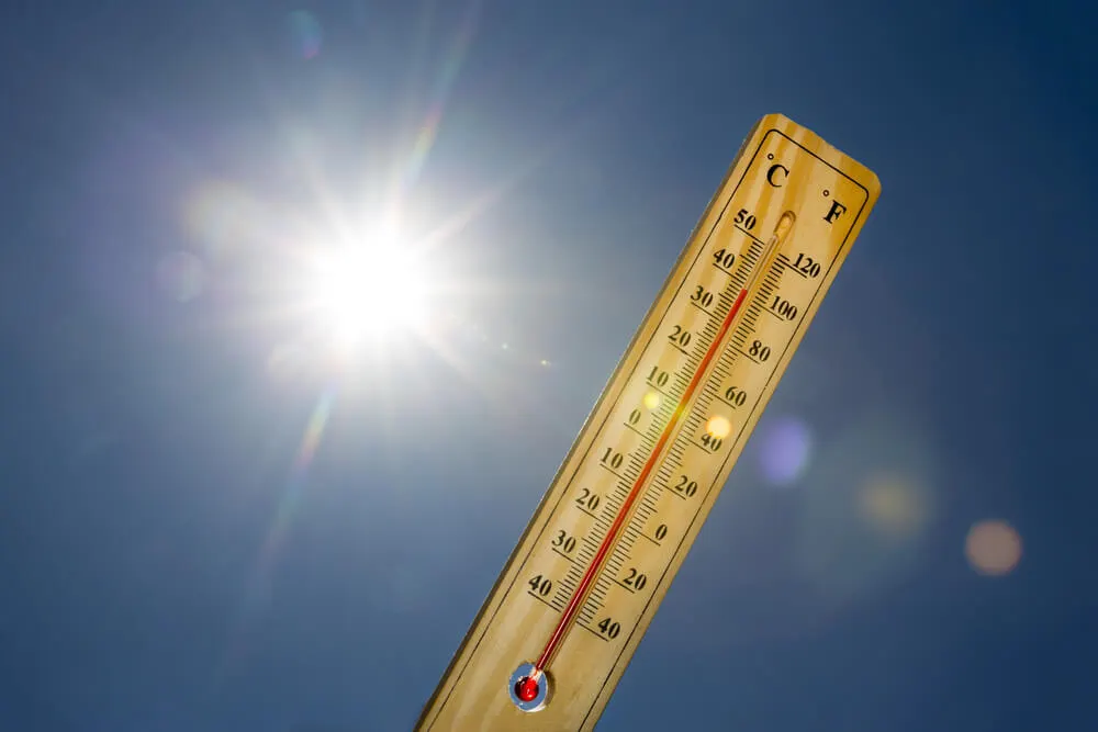 Imagem de capa do artigo 6 PROBLEMAS QUE SERÃO CAUSADOS PELO AQUECIMENTO GLOBAL