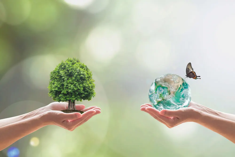 Imagem de capa do artigo 5 COISAS QUE MOSTRAM POR QUE A SUSTENTABILIDADE É IMPORTANTE