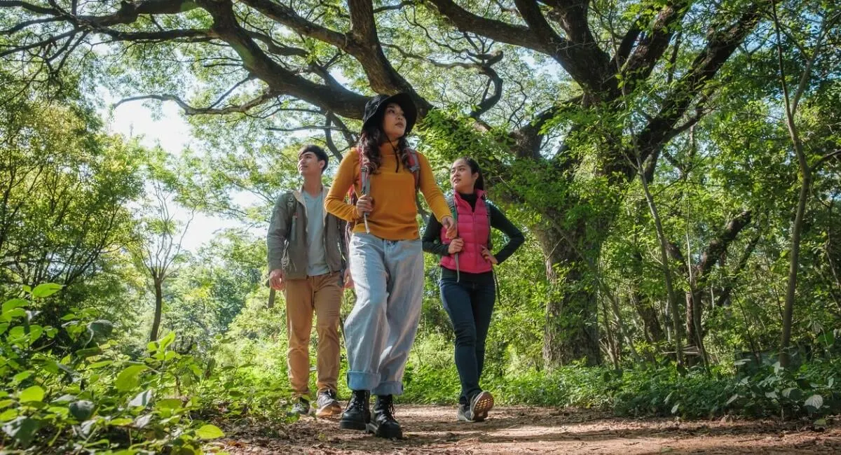 Imagem de capa do artigo COMO PRESERVAR A NATUREZA PARA FUTURAS GERAÇÕES?