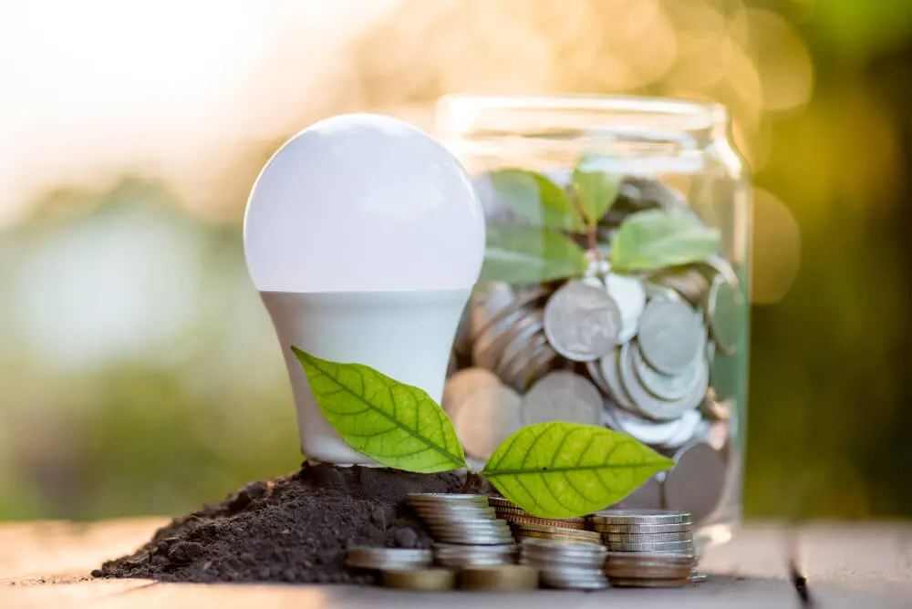 Imagem de capa do artigo CONSUMO SUSTENTÁVEL: 7 COISAS QUE VOCÊ PODE FAZER AGORA