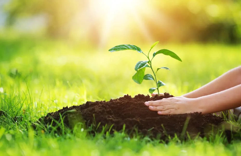 Imagem de capa do artigo 6 MEDIDAS JÁ APROVADAS PARA PROMOVER A SUSTENTABILIDADE NO FUTURO